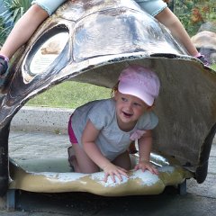 IMG 040